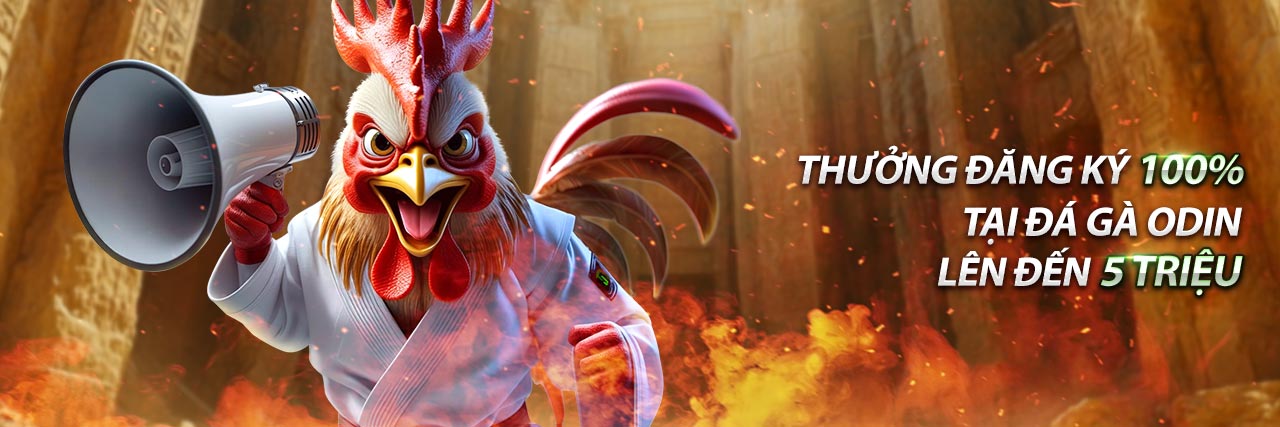 Hình ảnh minh họa bảo mật dữ liệu và quyền riêng tư trong trò chơi bắn cá đổi thưởng - thẻ cào